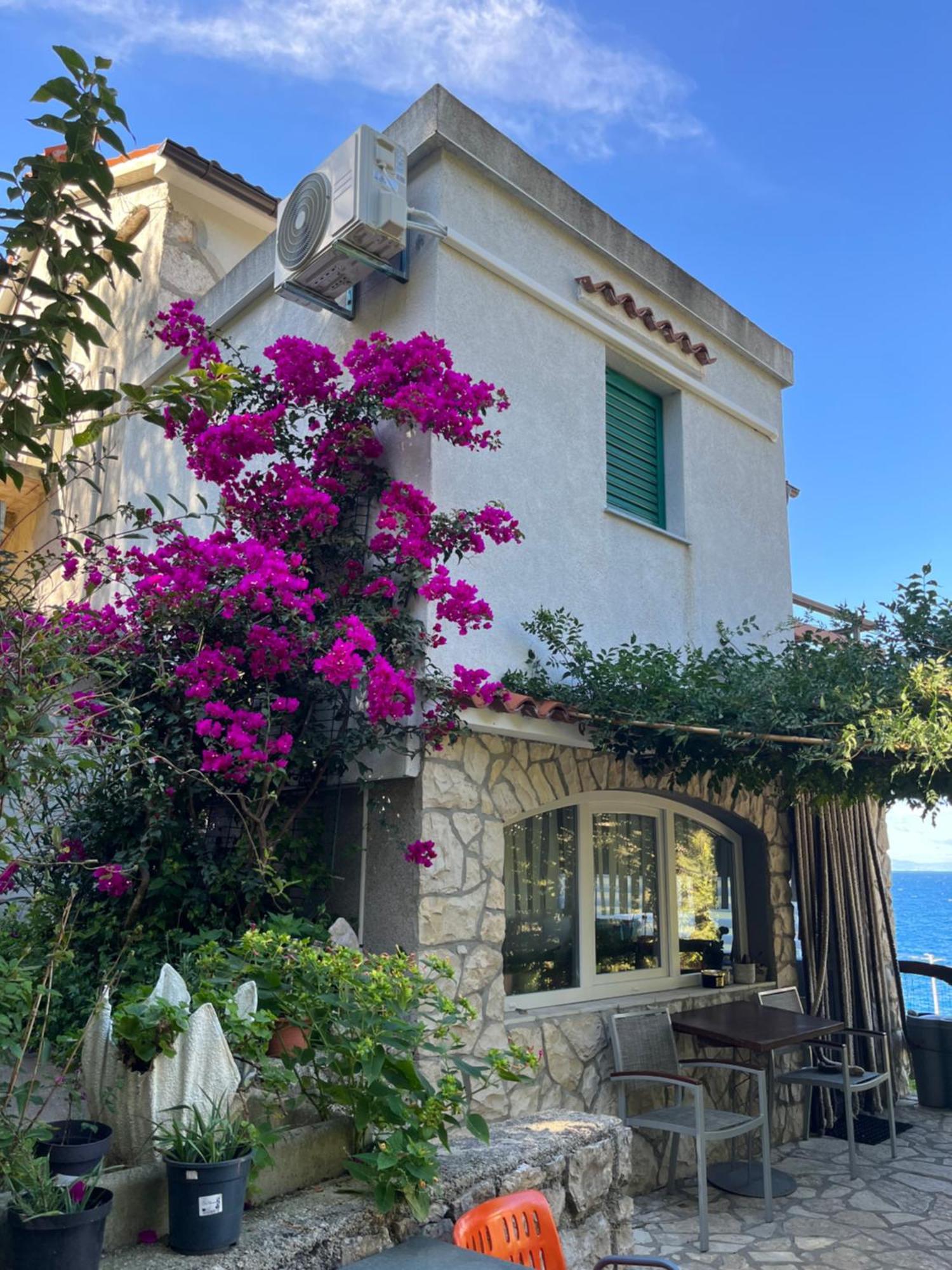 Apartment Ilario Cres Εξωτερικό φωτογραφία