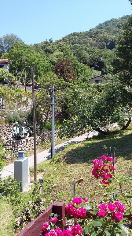 Apartment Ilario Cres Εξωτερικό φωτογραφία