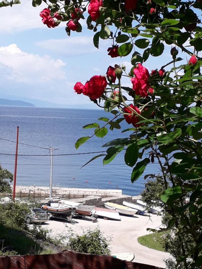 Apartment Ilario Cres Εξωτερικό φωτογραφία